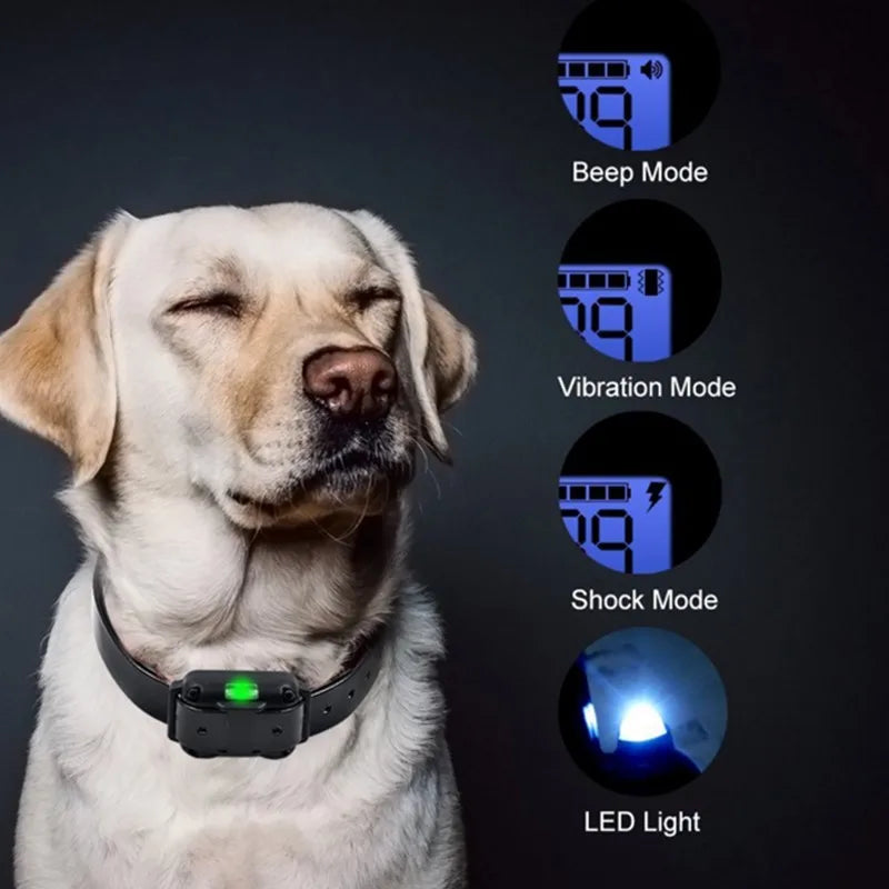 Rechargeable Dog Training Collar - 800m Remote, Waterproof