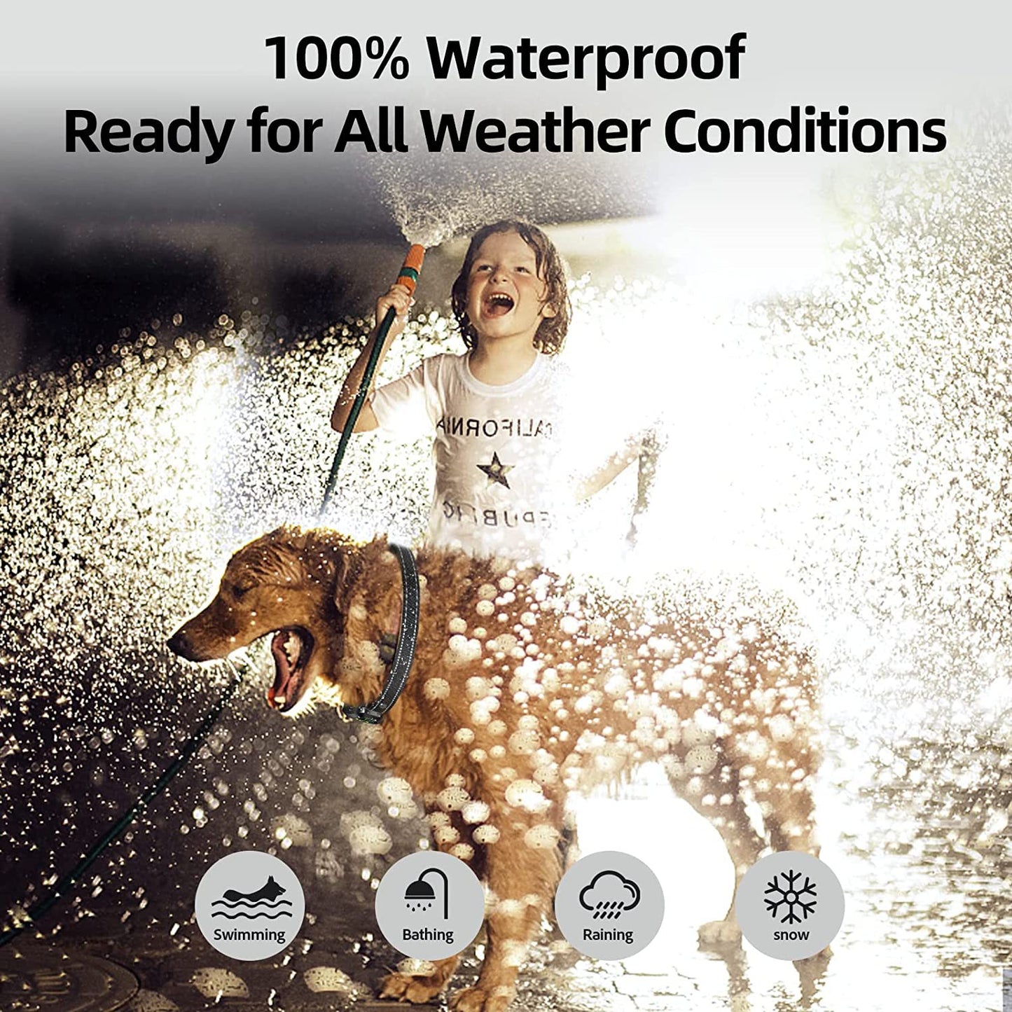 Anti Bark Collar: Rechargeable, Waterproof Dog Training Device